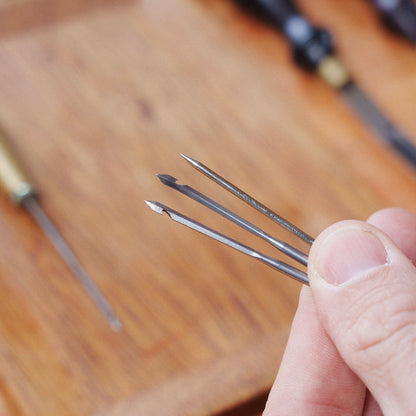 Cobblers Needle