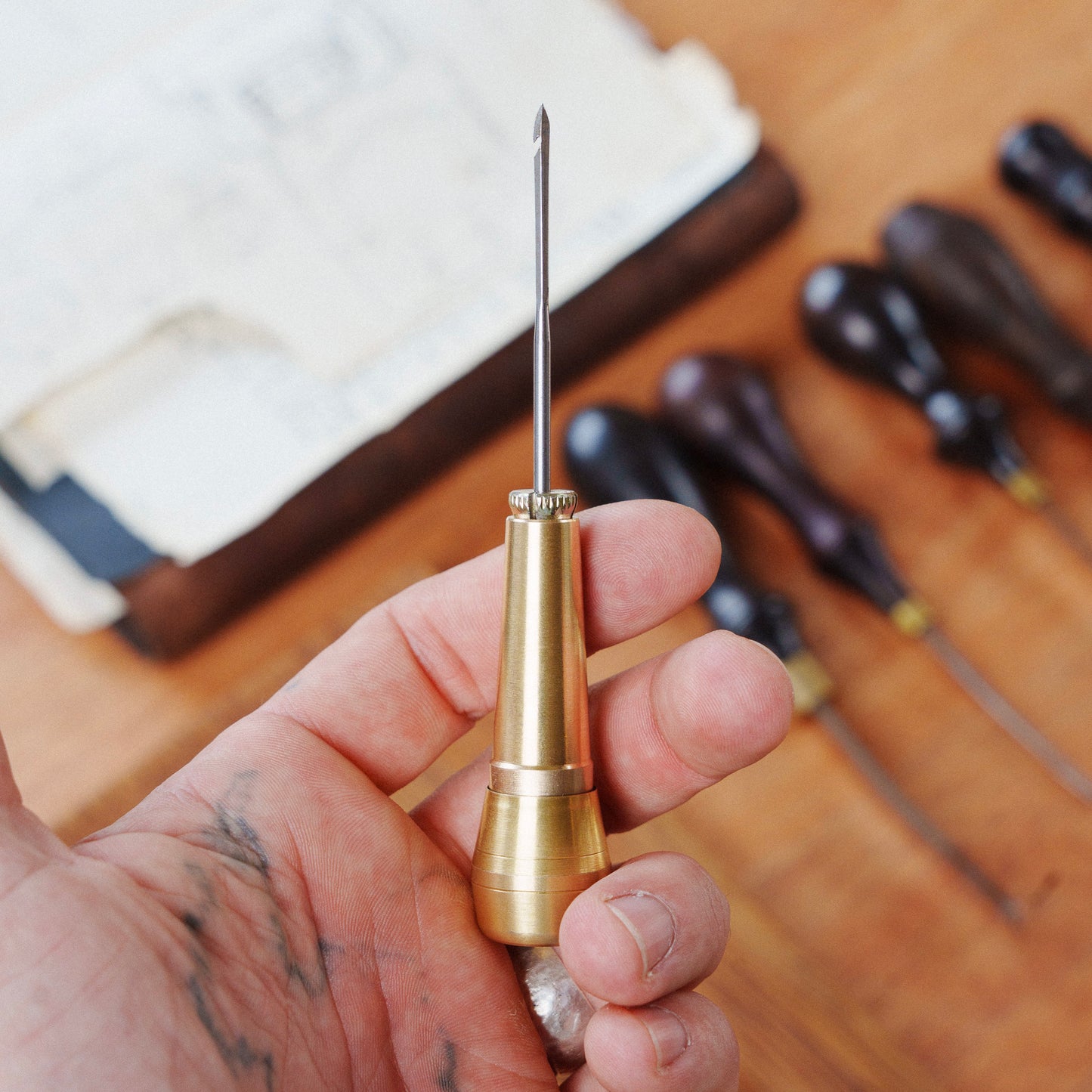 Cobblers Needle